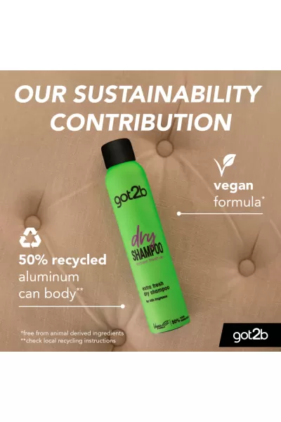 شوارتزکف Schwarzkopf شامپو خشک گات تو بی Got to be